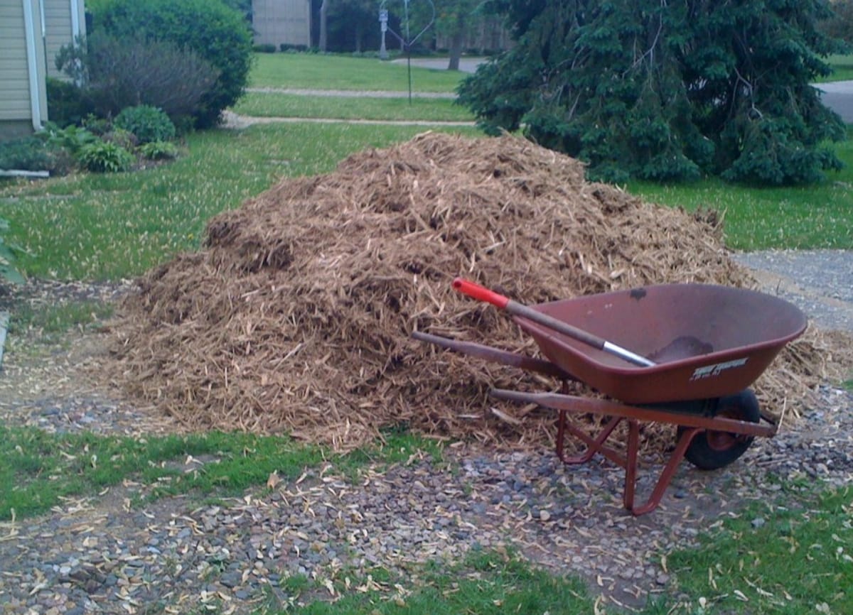 regenerate old mulch